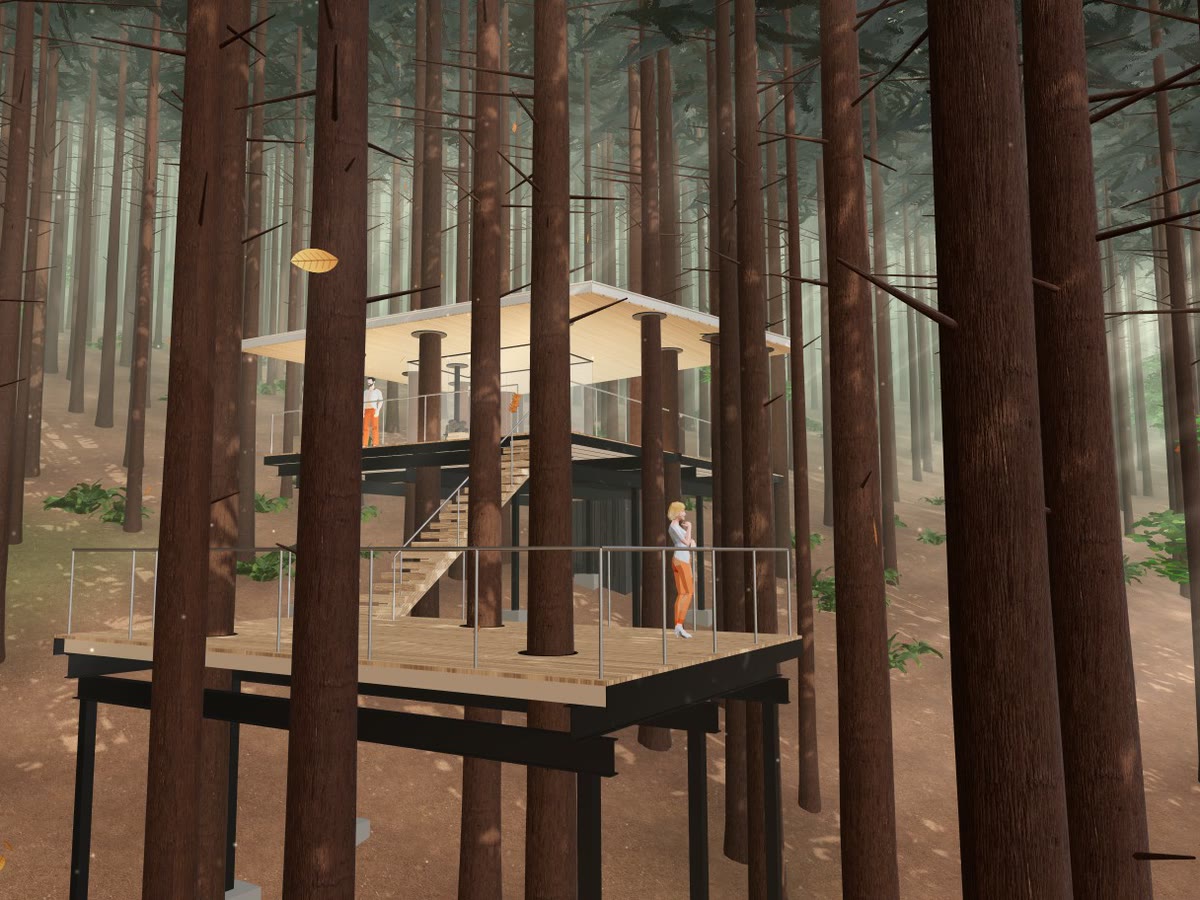 Tree Sauna